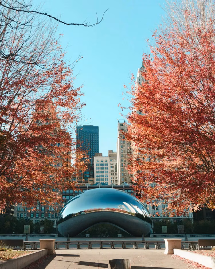 chicago-s-top-hotels-for-an-unforgettable-2026-visit-image-7