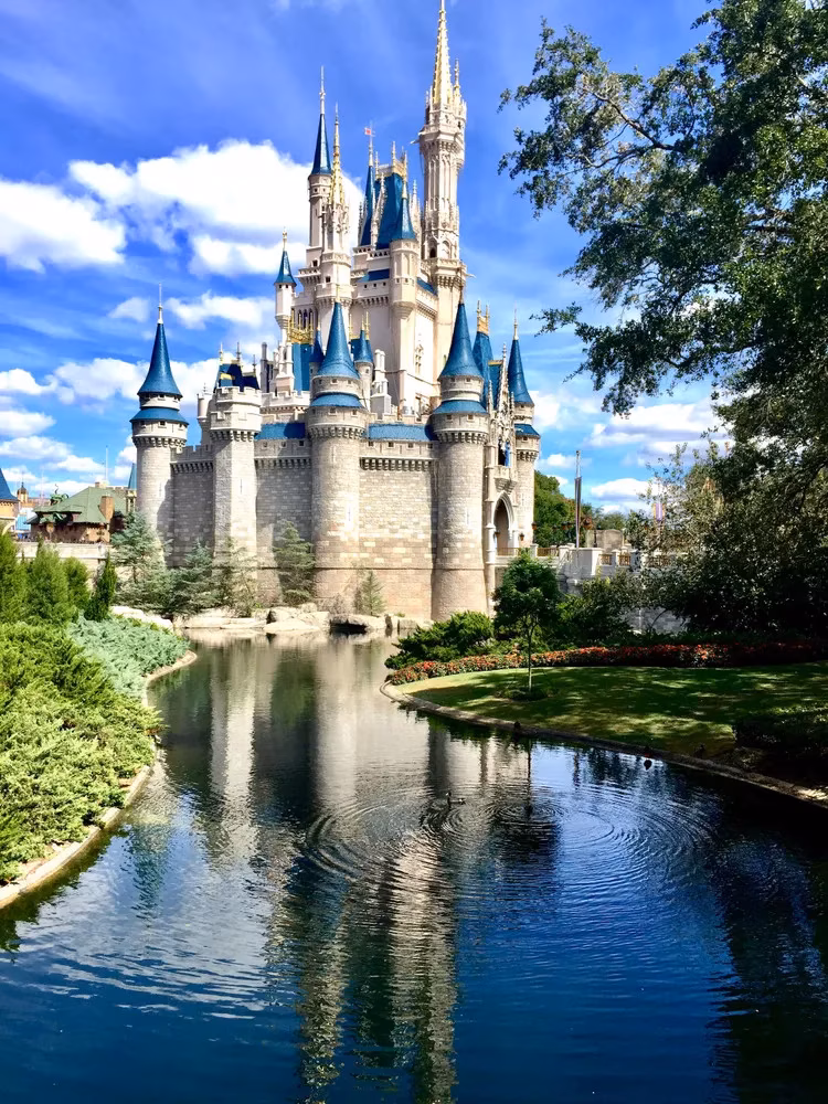 disney-world-s-signature-dining-where-culinary-magic-meets-fairytale-grandeur-image-1
